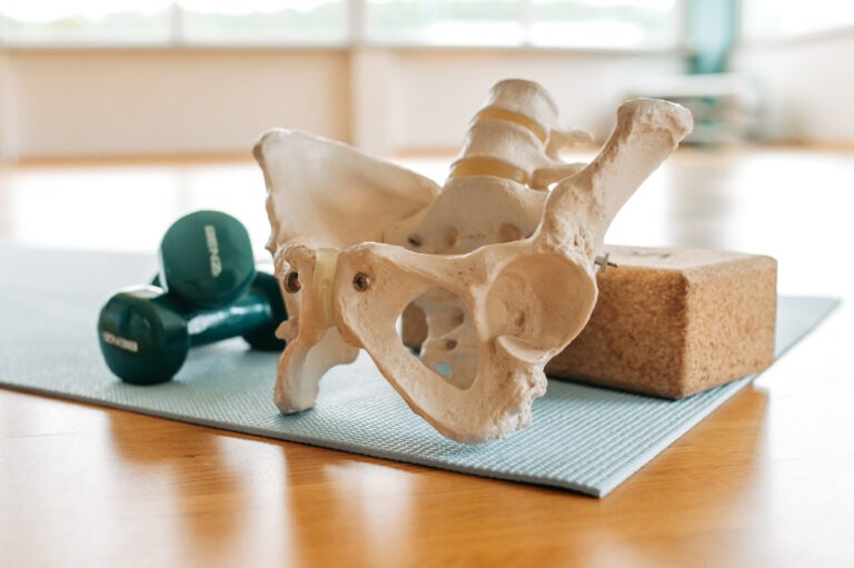 Yvi's Gym Kurse